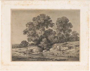 Poel aan de voet van een groep bomen