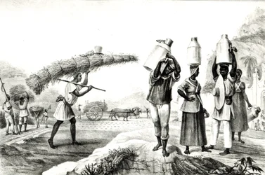 Melk- en Capim-verkopers, uit 