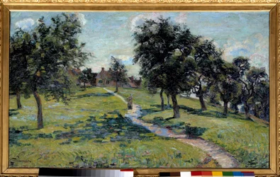 Landschap in Normandië: appelbomen