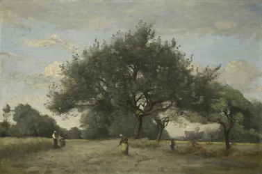 Appelbomen in een Veld
