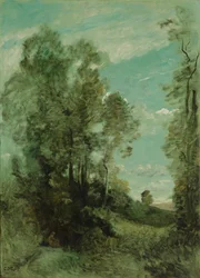Boomlandschap (ochtend)
