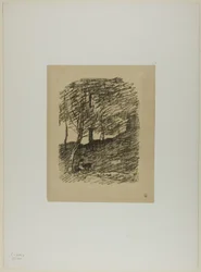 Onder de bomen