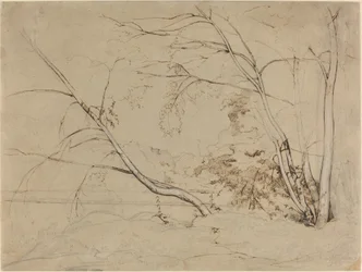 Boomgroep bij Civita Castellana, 1826