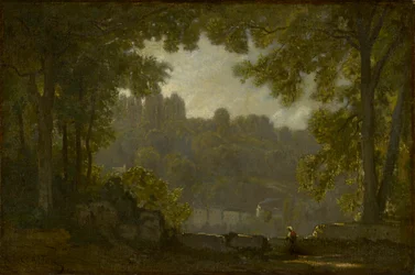 Boslandschap