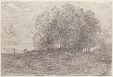Groep Bomen