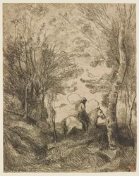 De grote ruiter in het bos