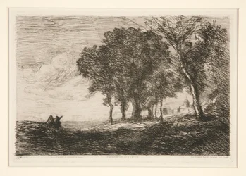 Landschap van