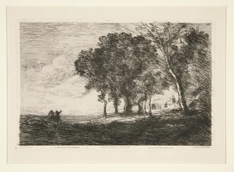 Landschap