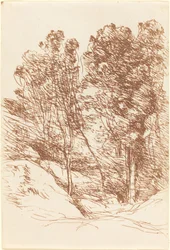 Souvenir van de Sole-vallei, 1871