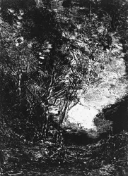 De hinderlaag, 1858