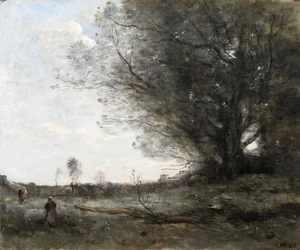 De beukenboom