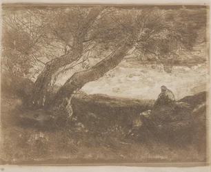 De Dromer (Le Songeur)
