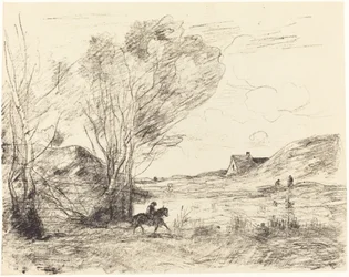 De ruiter in het riet