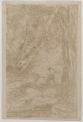 De houthakker van Rembrandt Le Bûcheron de Rembrandt