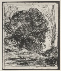 Bomen op de berg, originele indruk 1856, gedrukt in 1921
