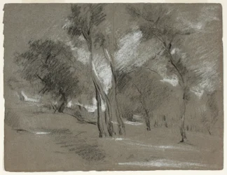 Landschap met bomen