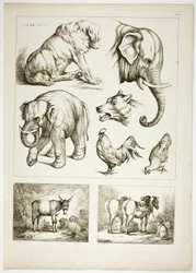 Plaat 32 van 38 uit Oeuvres de J. B. Huet