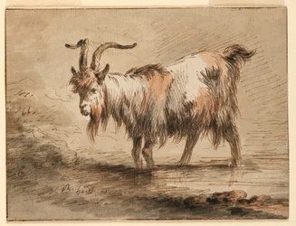 Tekening, Studie van een geit, 1772