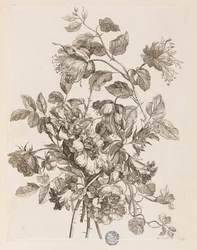 Plaat uit "Le Livre de toutes sortes de fleurs d