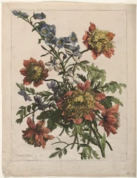 Boeket