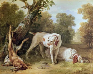 Hond en Haas