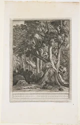 De Draak met Veel Hoofden, Fabel XII, c. 1753-1755