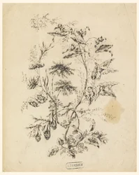Tekening, Touw van een fantastische boom, 1775-1800