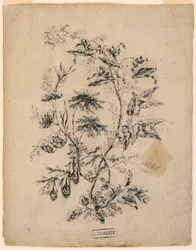 Tekening, Touw van een fantastische boom, 1775-1800