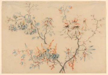 Tekening, Bloeiende takken, 1775-1800