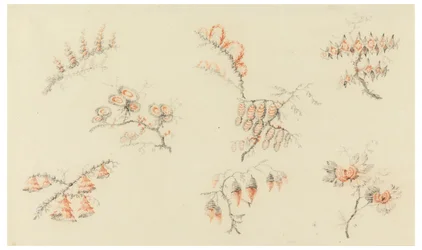 Takken van Zeven Ideale Bloemen en een Quasi-Naturalistische Bloem