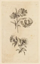 Twee bloemen takjes