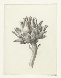Artisjok