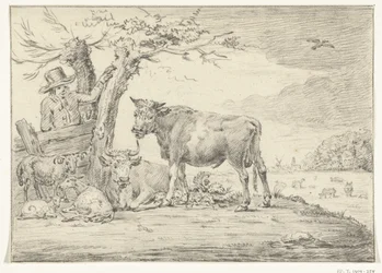 Boer staande bij een hek met vee