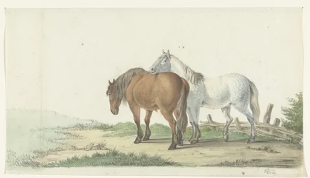 Een bruin en wit paard op een weg naast een hek