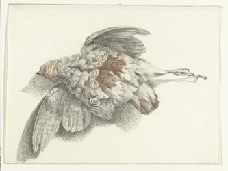 Gevogelte, hangend aan de muur