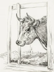 Koeienkop (1820)