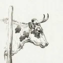 Koeienkop, naar rechts (1820)