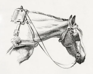 Paardenhoofd (1820)