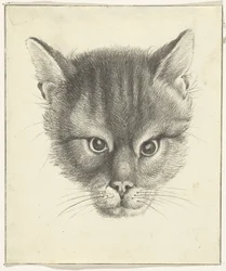 Kattenkop, van voren