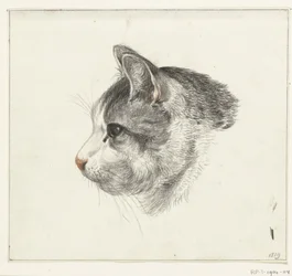 Kop van een kat, naar links