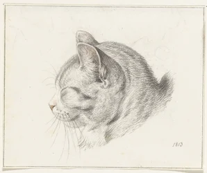 Kop van een kat, naar links