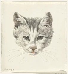 Kop van een kat, van voren gezien bij kaarslicht