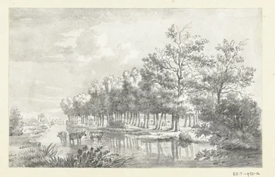 Landschap met wadende koeien