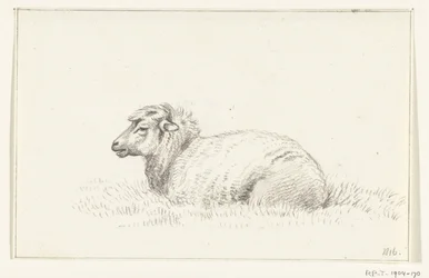 Liggend schaap, naar links