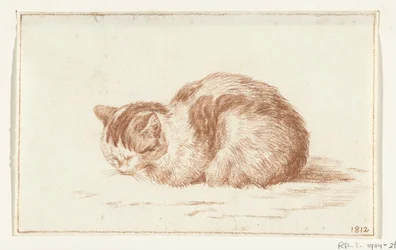 Liggende kat, naar links