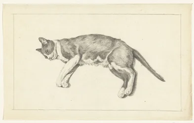 Liggende kat, naar links, van boven gezien