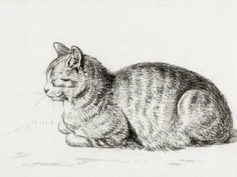 Liggende kat (1811)