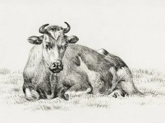 Liggende koe (1825)