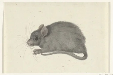 Muis, naar links