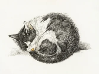 Opgerolde, liggende, slapende kat (1825)